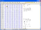 Hex Editor